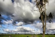 九游娱乐 -包含里程碑夜！亚特兰大官宣签约，荷甲赛后刷纪录，悬念犹存，数据趋势出现新变化的词条